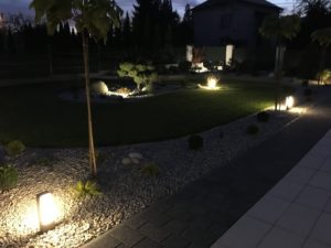 Ogród w blasku nocy (2)