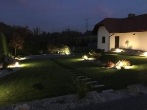 Ogród w blasku nocy (5)